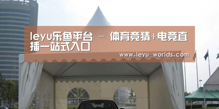 案例标题八