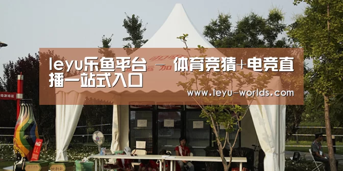 案例标题五