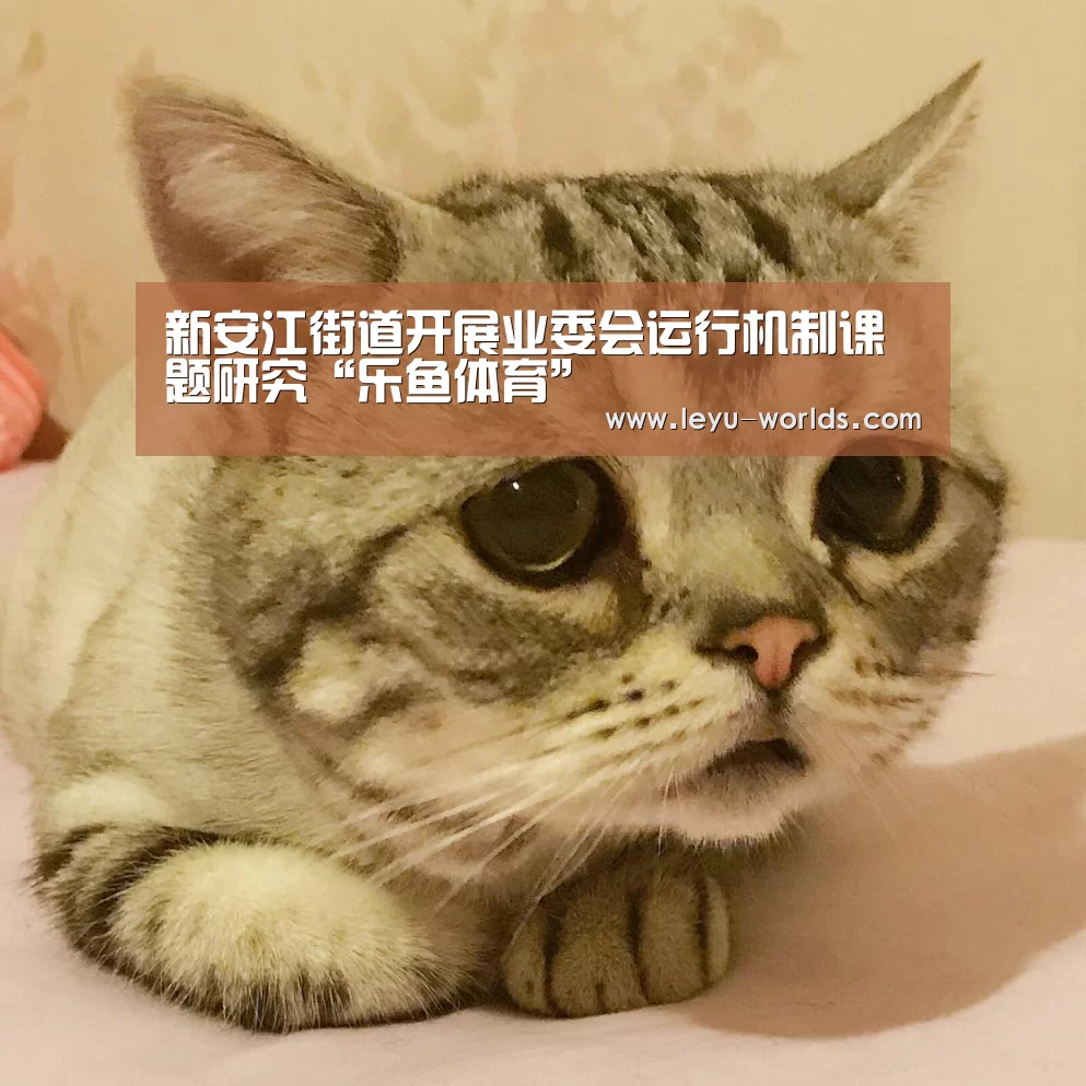 新安江街道开展业委会运行机制课题研究“乐鱼体育”