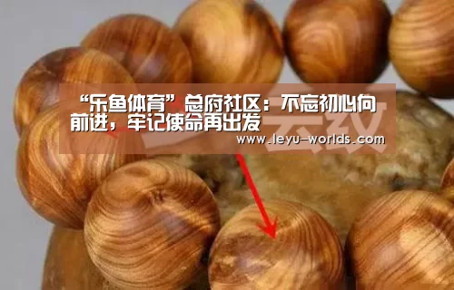 “乐鱼体育”总府社区:不忘初心向前进,牢记使命再出发