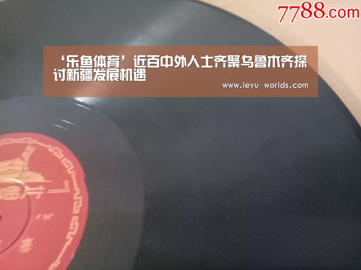 ‘乐鱼体育’近百中外人士齐聚乌鲁木齐探讨新疆发展机遇
