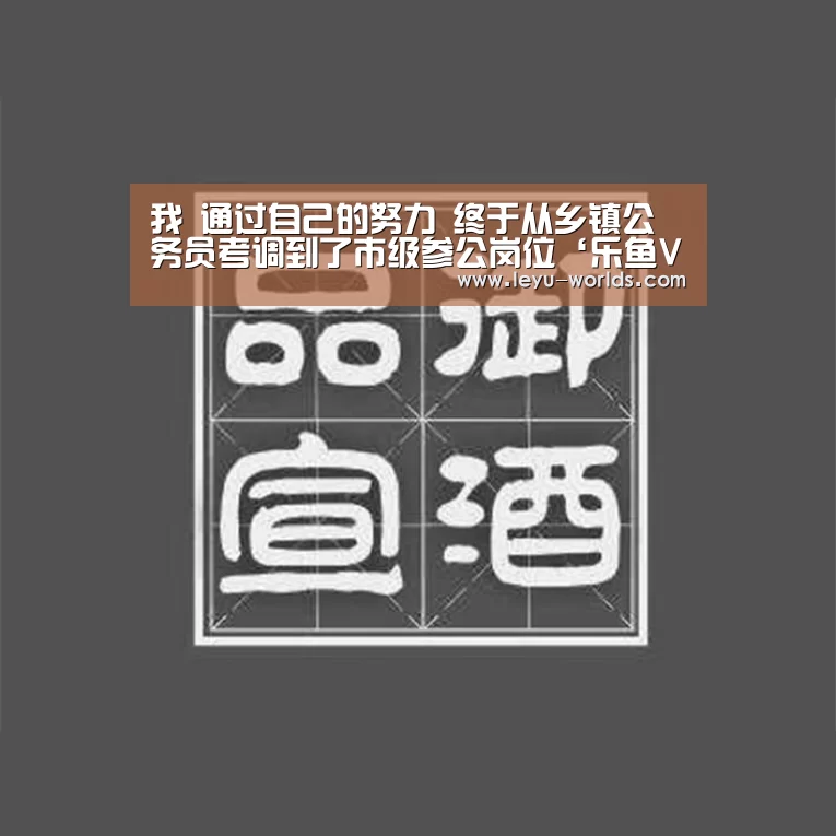 我 通过自己的努力 终于从乡镇公务员考调到了市级参公岗位‘乐鱼VIP注册app下载’